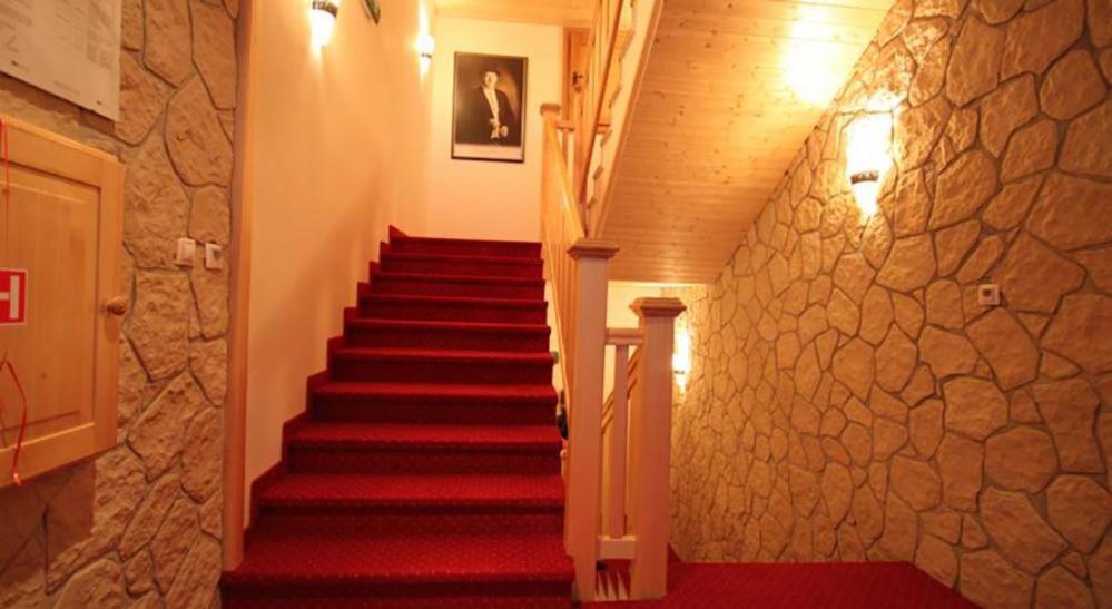 Horsky Hotel Vidly Karlova Studanka Exterior photo